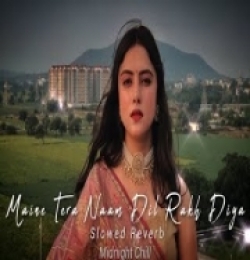Maine Tera Naam Dil Rakh Diya Lofi Mix (Slowed And Reverb)