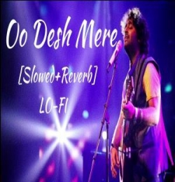 Desh Mere (Slowed And Reverb) Lofi Mix