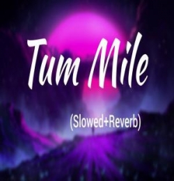Tum Mile Lofi Mix (Slowed Reverb)