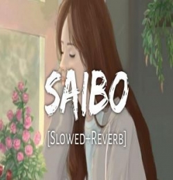 Saibo Lofi (Slowed Reverb)
