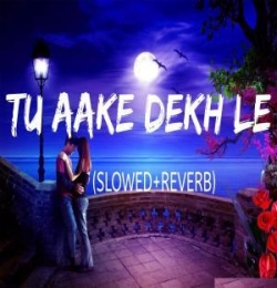 Tu Aake Dekhle (Slowed Reverb) Lofi Mix