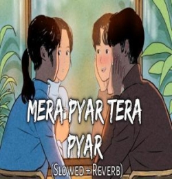 Mera Pyar Tera Pyar Lofi Mix(Slowed and Reverb)