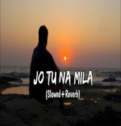 Jo Tu Na Mila (Slowed Reverb) Lofi Mix