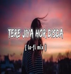 Tere Liye Hor Disda Lofi Mix (Slowed and Reverb)