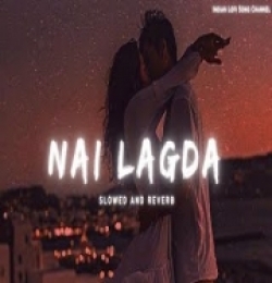 Nai Lagda Lofi Mix (Slowed And Reverb)