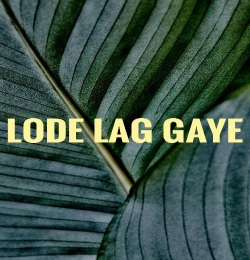 Laude Lag Gaye