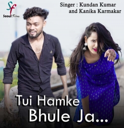 Tui Hamke Bhule Ja Re Pagla Jonomer Moton